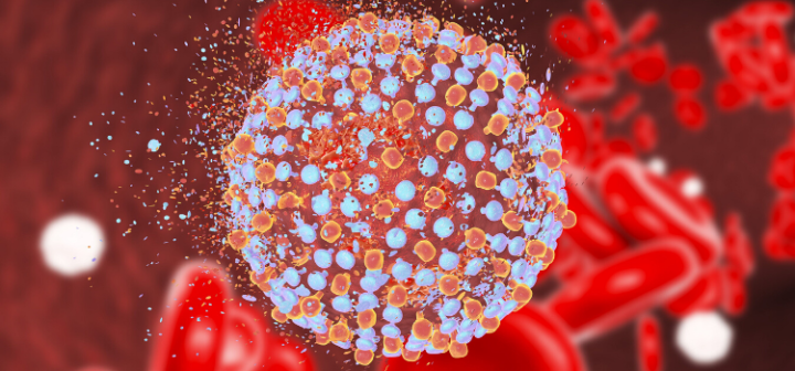 GeneProof Hepatitis C Virus (HCV) Diagnostic PCR Kit