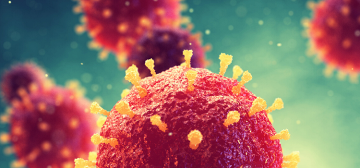 GeneProof Flu Multiplex PCR Kit