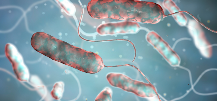 GeneProof Legionella pneumophila PCR Kit
