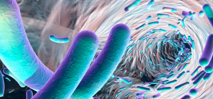 GeneProof Mycobacterium tuberculosis PCR Kit