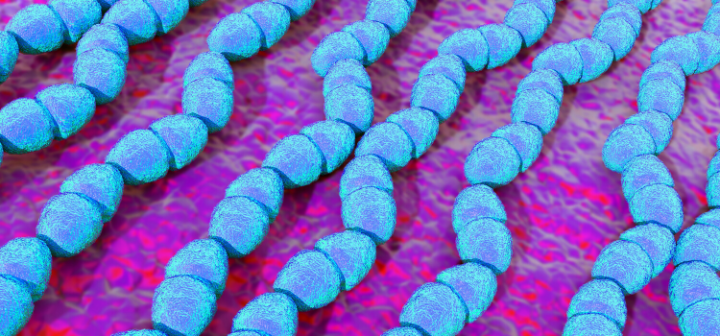 GeneProof VRE PCR Kit