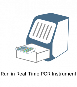 AML1-ETO One-Step Detection Kit