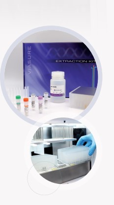 Automatic nucleic acid extraction instrument