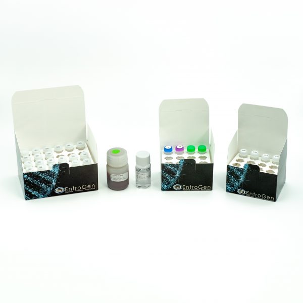 NGS Targeted Hotspot Panel (For Illumina® Platforms)