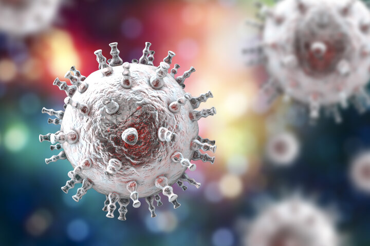 GeneProof BK Virus (BKV) PCR Kit